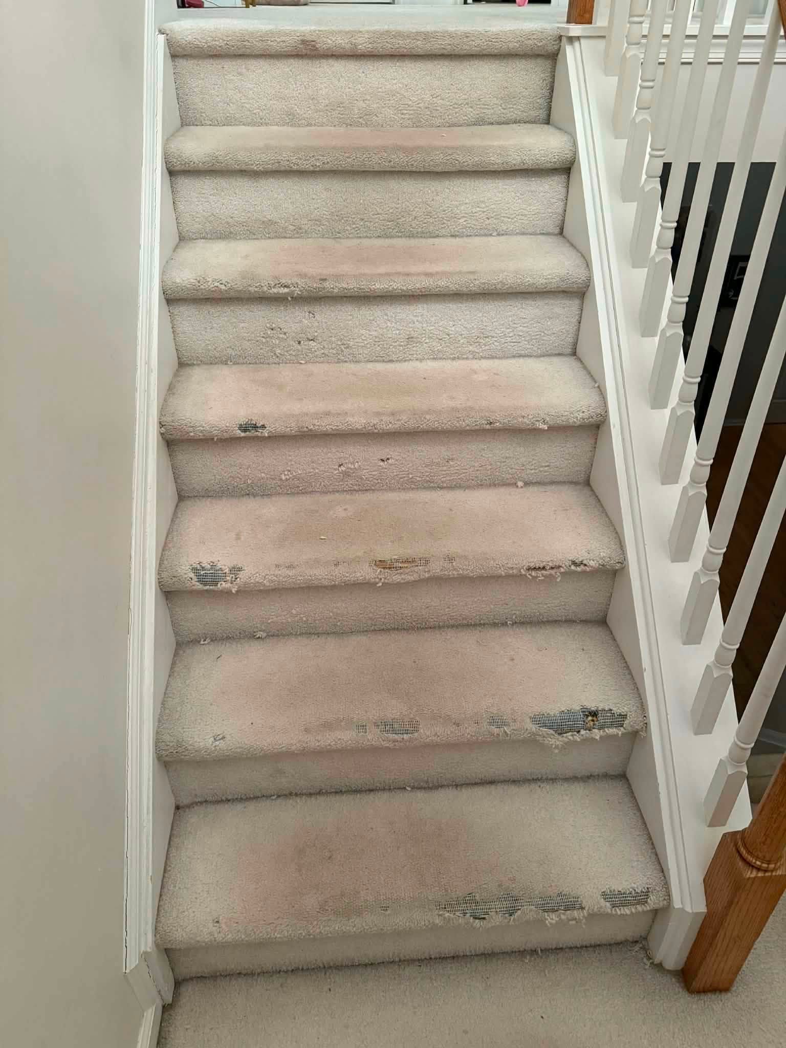 Carpeted stairs before remodel work